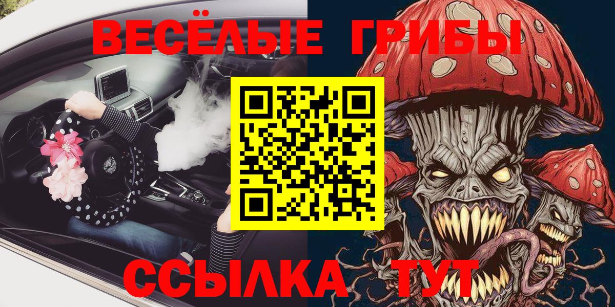 Галлюциногенные грибы Psilocybine cubensis  Псилоцибиновые грибы Psilocybine cubensis  что такое наркотик  Вход с VPN  Осинники 